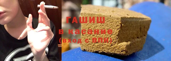 гидра Каменка