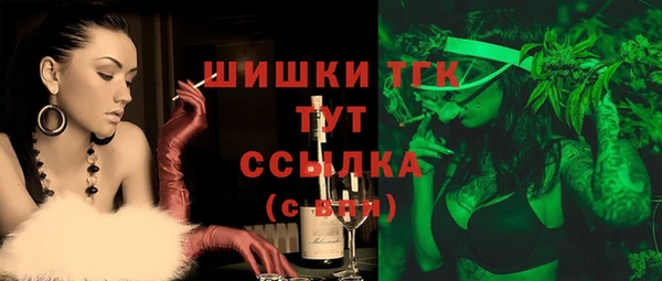 гидра Каменка