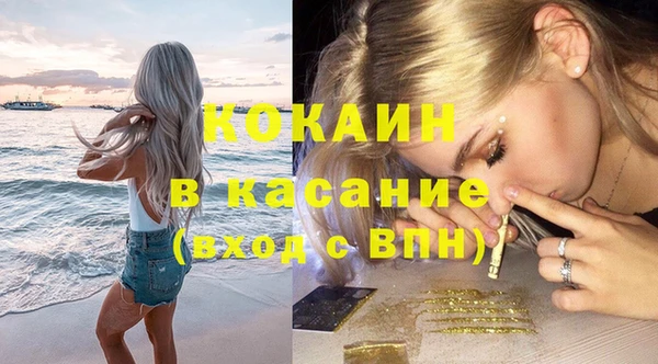 гидра Каменка