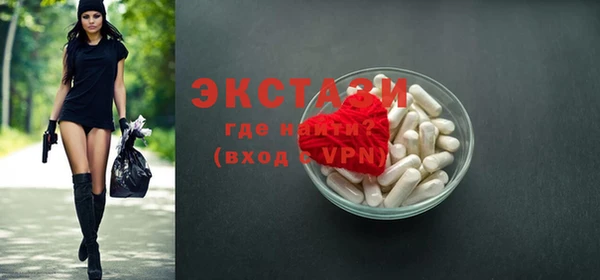 гидра Каменка