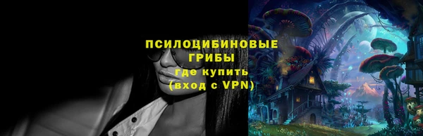 гидра Каменка