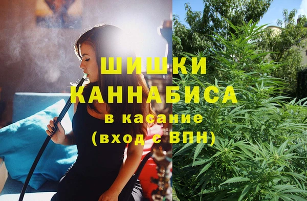 ПСИЛОЦИБИНОВЫЕ ГРИБЫ Каменск-Шахтинский