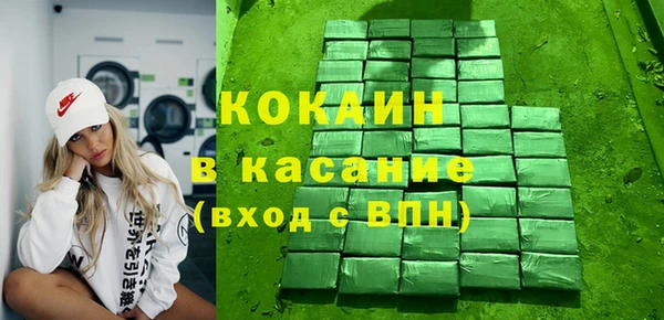 гидра Каменка