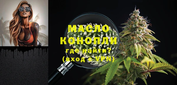 гидра Каменка