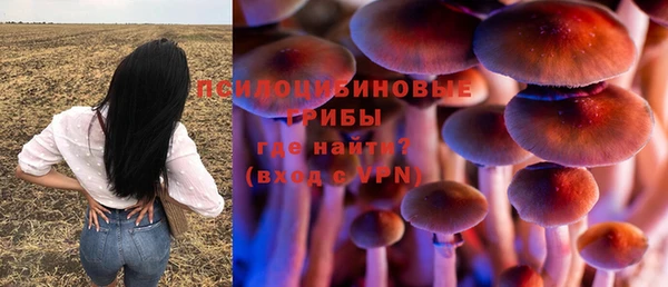гашишное масло Каменногорск