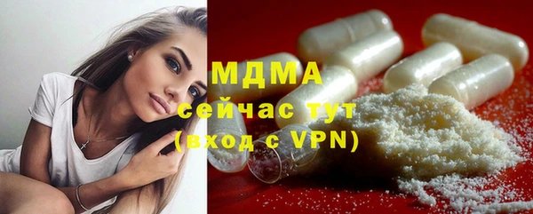 гидра Каменка